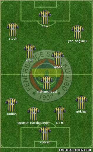 Fenerbahçe SK Formation 2013
