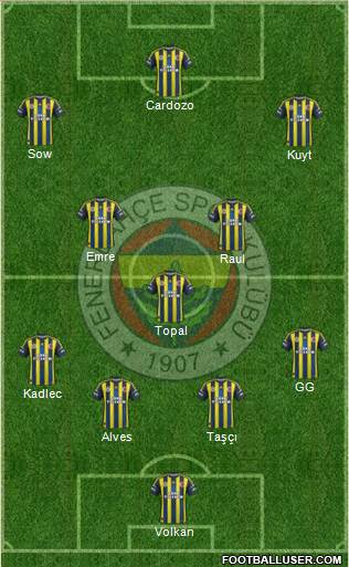 Fenerbahçe SK Formation 2013