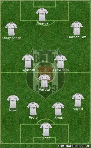 Besiktas JK Formation 2013