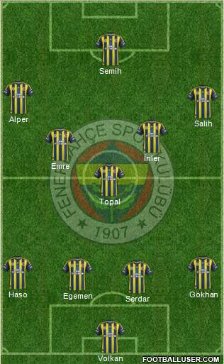 Fenerbahçe SK Formation 2013