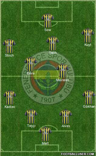 Fenerbahçe SK Formation 2013
