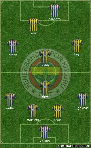 Fenerbahçe SK Formation 2013