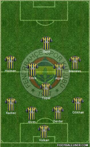 Fenerbahçe SK Formation 2013