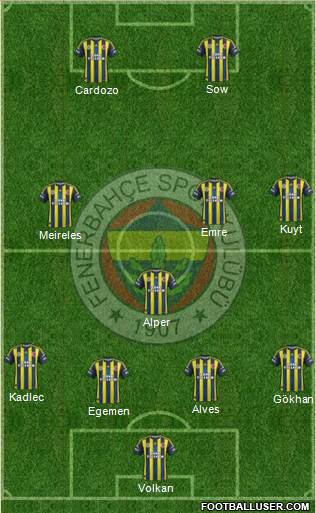 Fenerbahçe SK Formation 2013