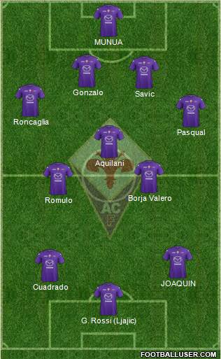Fiorentina Formation 2013