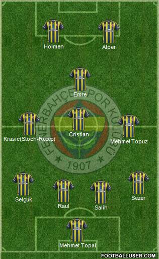 Fenerbahçe SK Formation 2013