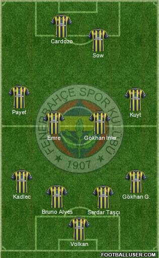 Fenerbahçe SK Formation 2013