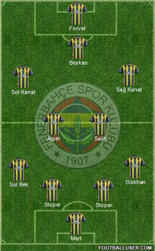 Fenerbahçe SK Formation 2013