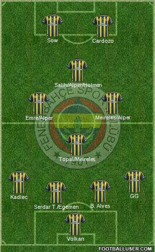 Fenerbahçe SK Formation 2013