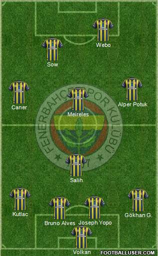 Fenerbahçe SK Formation 2013