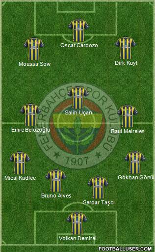 Fenerbahçe SK Formation 2013