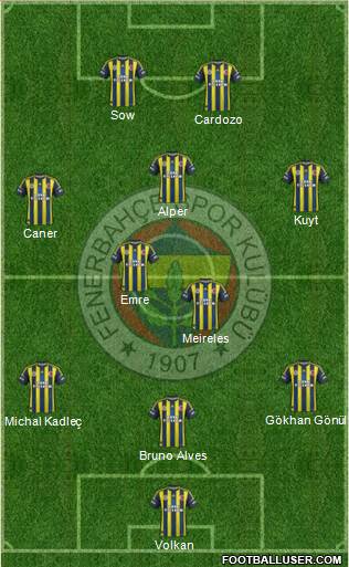 Fenerbahçe SK Formation 2013