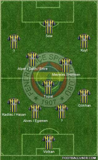 Fenerbahçe SK Formation 2013
