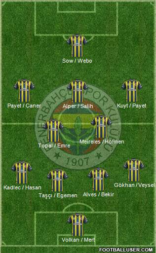 Fenerbahçe SK Formation 2013