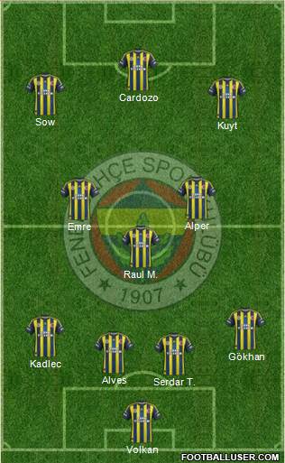 Fenerbahçe SK Formation 2013