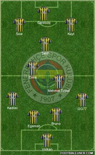 Fenerbahçe SK Formation 2013