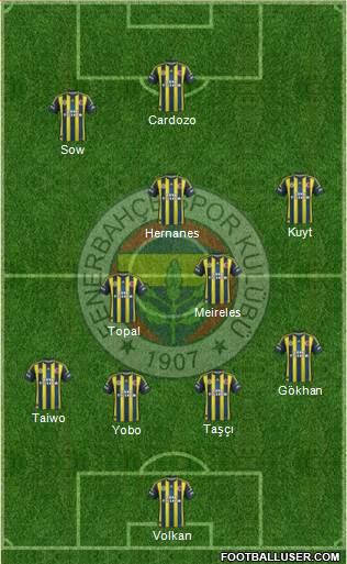 Fenerbahçe SK Formation 2013