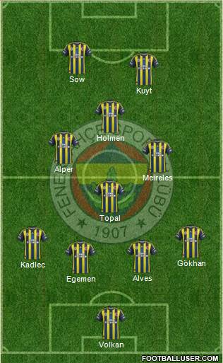 Fenerbahçe SK Formation 2013