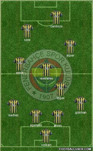 Fenerbahçe SK Formation 2013