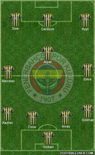 Fenerbahçe SK Formation 2013