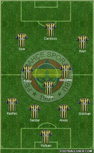 Fenerbahçe SK Formation 2013