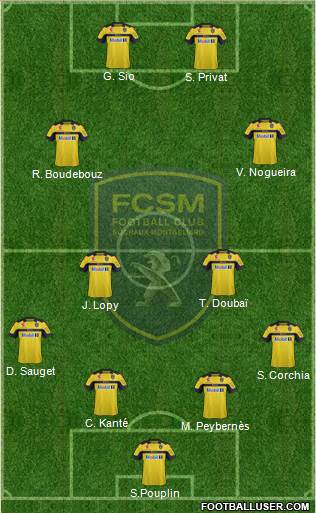 FC Sochaux-Montbéliard Formation 2013