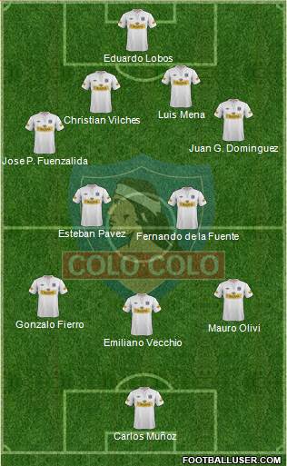 CSD Colo Colo Formation 2013