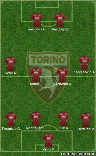 Torino Formation 2013