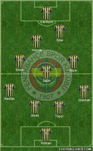 Fenerbahçe SK Formation 2013
