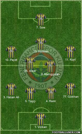 Fenerbahçe SK Formation 2013