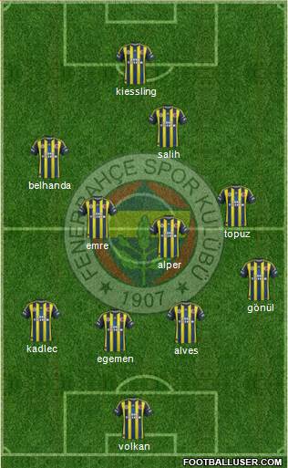 Fenerbahçe SK Formation 2013