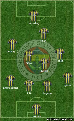 Fenerbahçe SK Formation 2013