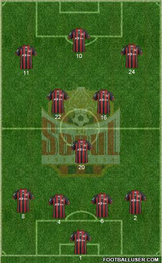 FC Seoul Formation 2013