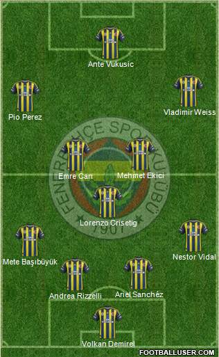 Fenerbahçe SK Formation 2013