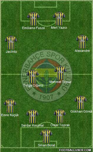 Fenerbahçe SK Formation 2013