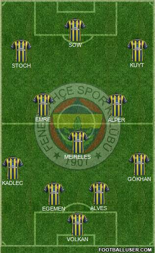 Fenerbahçe SK Formation 2013