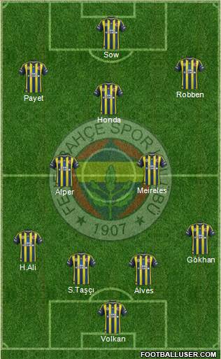 Fenerbahçe SK Formation 2013