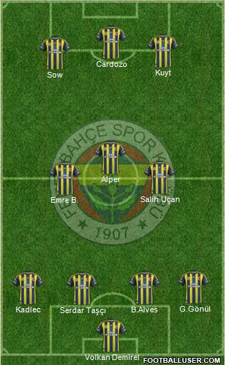 Fenerbahçe SK Formation 2013