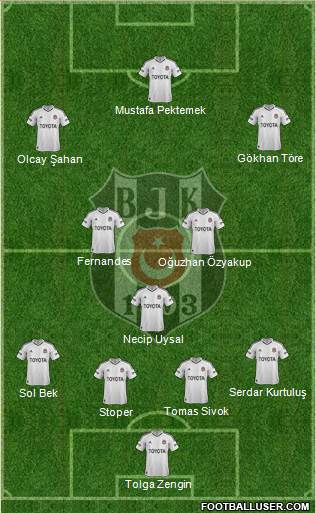 Besiktas JK Formation 2013