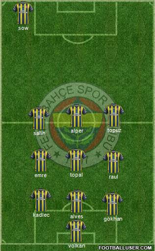 Fenerbahçe SK Formation 2013
