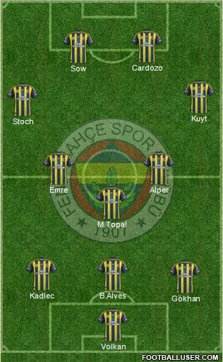 Fenerbahçe SK Formation 2013