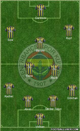 Fenerbahçe SK Formation 2013