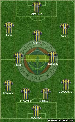 Fenerbahçe SK Formation 2013