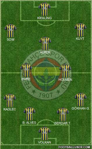 Fenerbahçe SK Formation 2013
