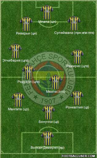 Fenerbahçe SK Formation 2013