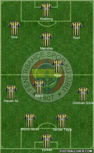 Fenerbahçe SK Formation 2013