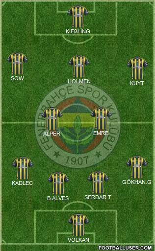 Fenerbahçe SK Formation 2013