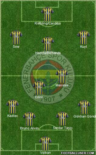 Fenerbahçe SK Formation 2013