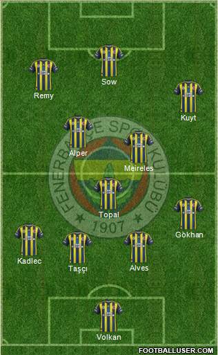 Fenerbahçe SK Formation 2013