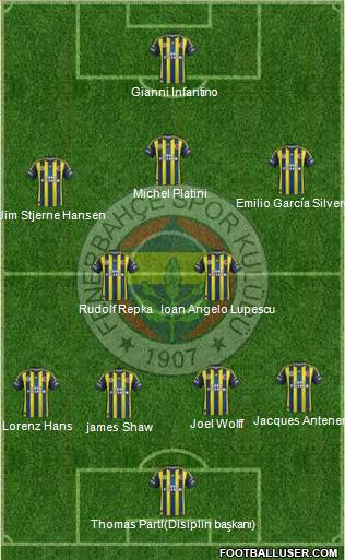 Fenerbahçe SK Formation 2013